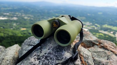 Nocs Binoculars