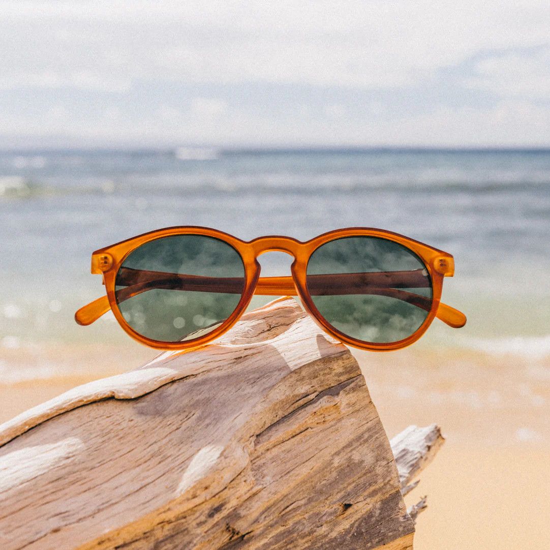 Sunski Dipsea in Rust Forest