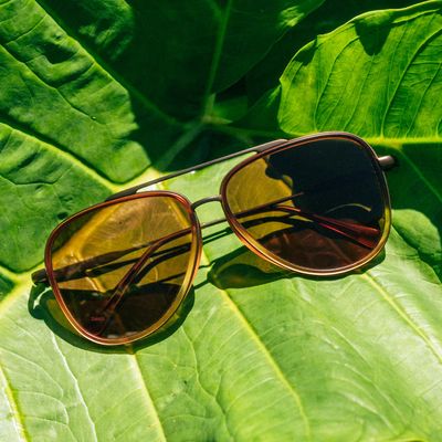 Sunski Sirocco in Solstice Amber