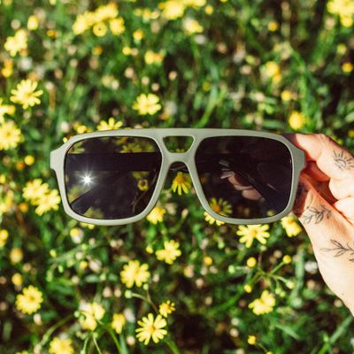 Sunski Paladino in Olive Forest