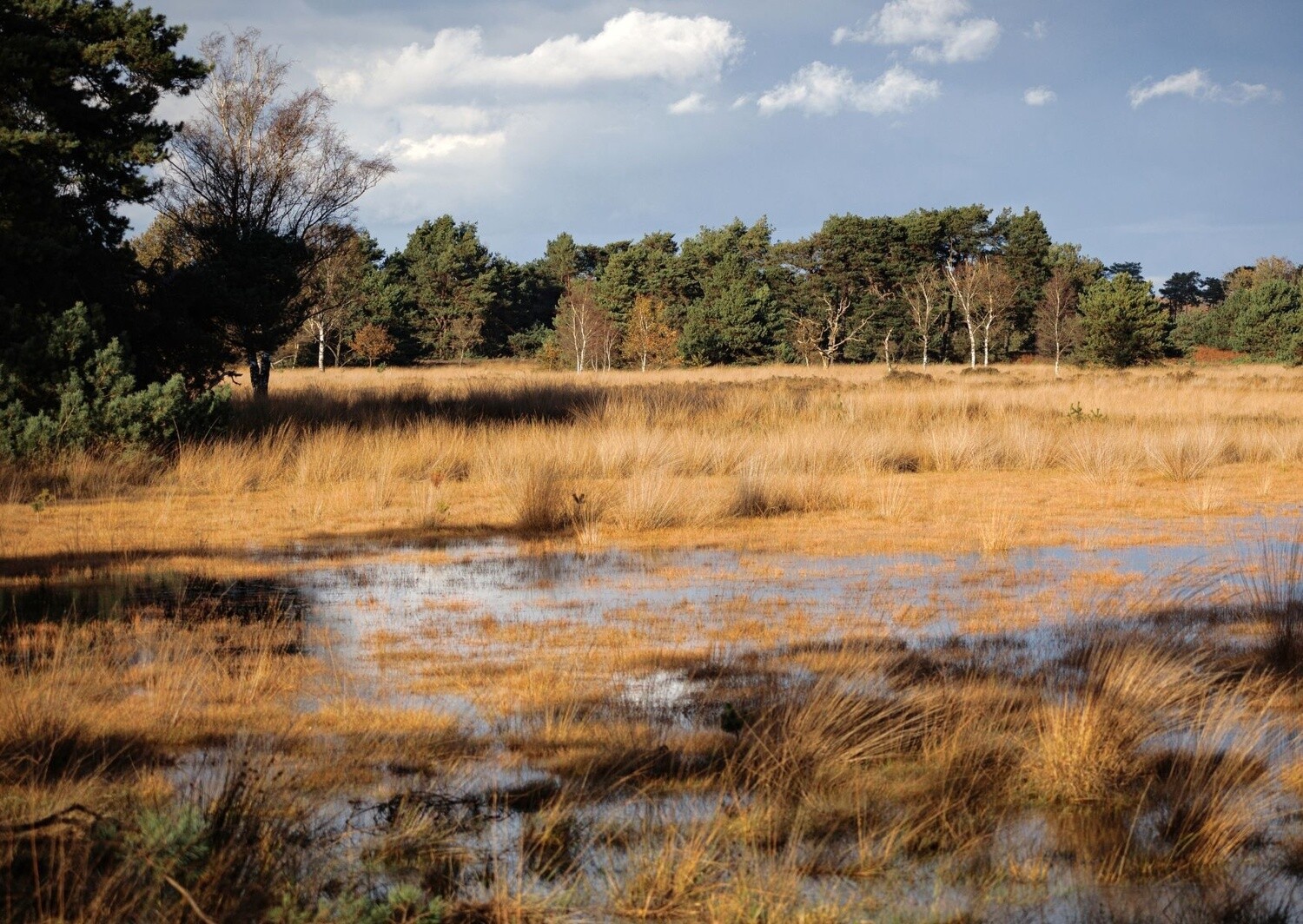 Kaart - Kampina