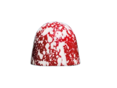 Bosvruchten