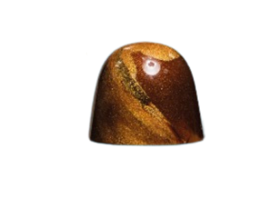 Hazelnoot