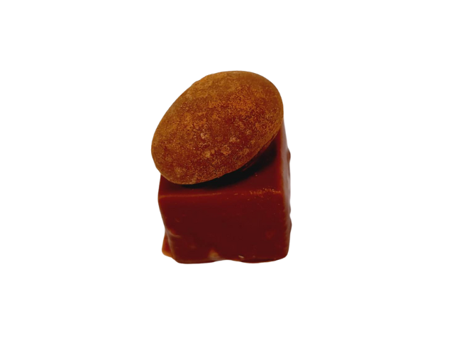 Kaneel