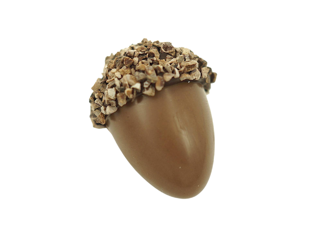 Eikel koffie