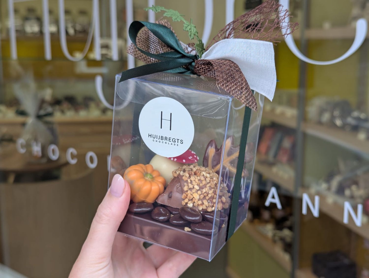 Egeltje in het bos - giftbox