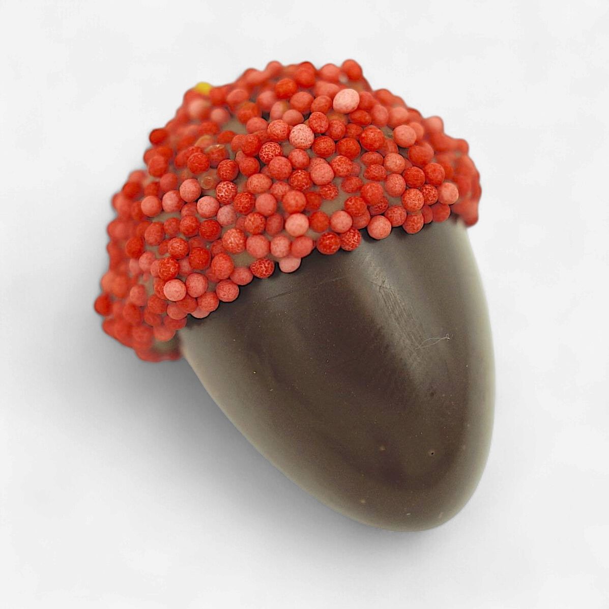 Eikel framboos