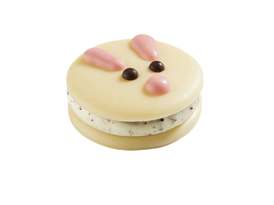 Macaron bonbon haas
