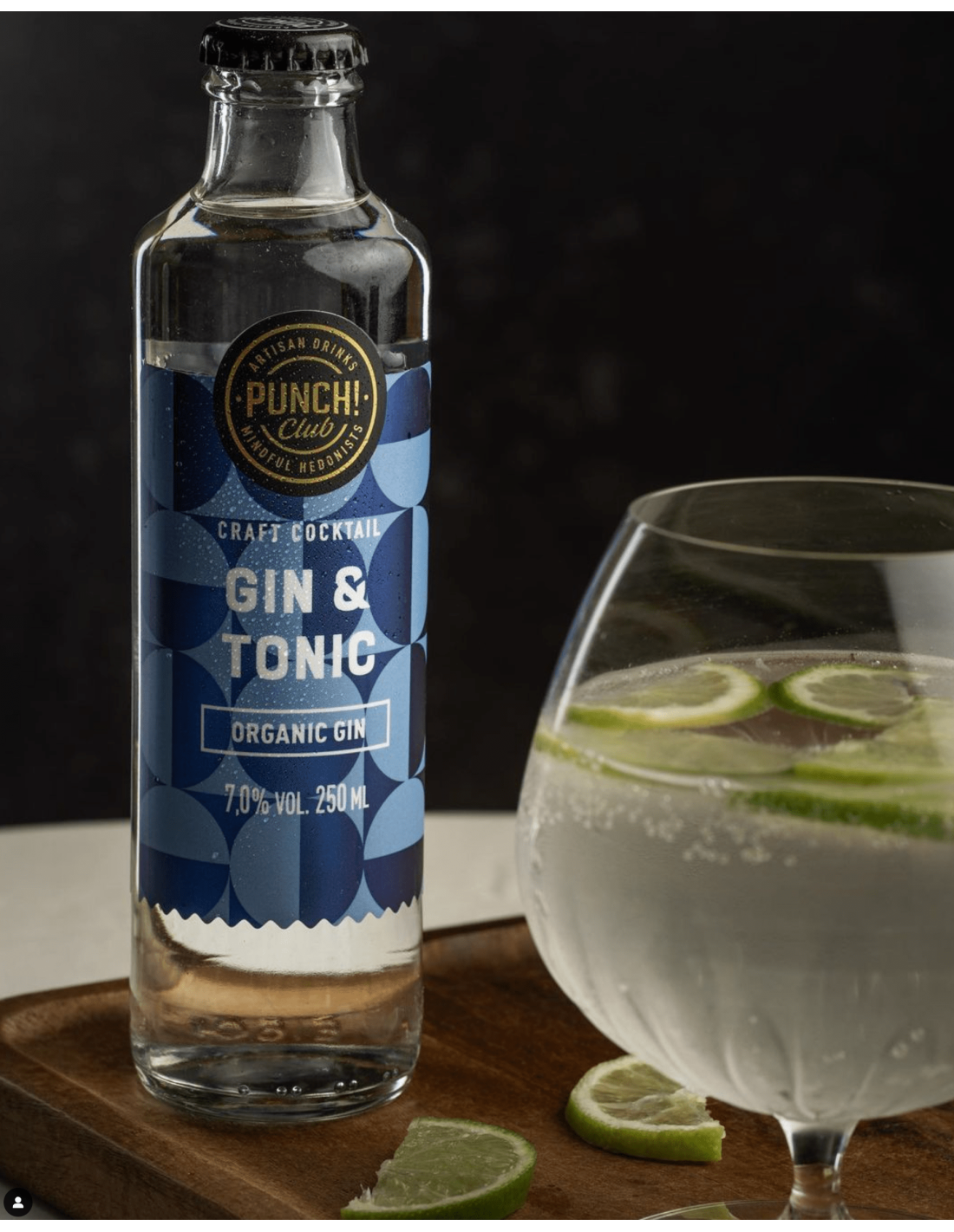 Gin Tonic 8% 0,25L - 12st