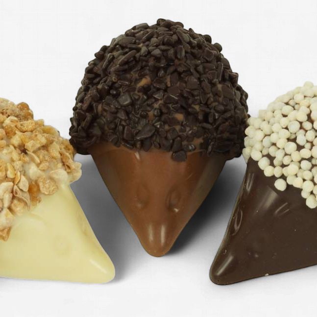 Egel assorti p.s.