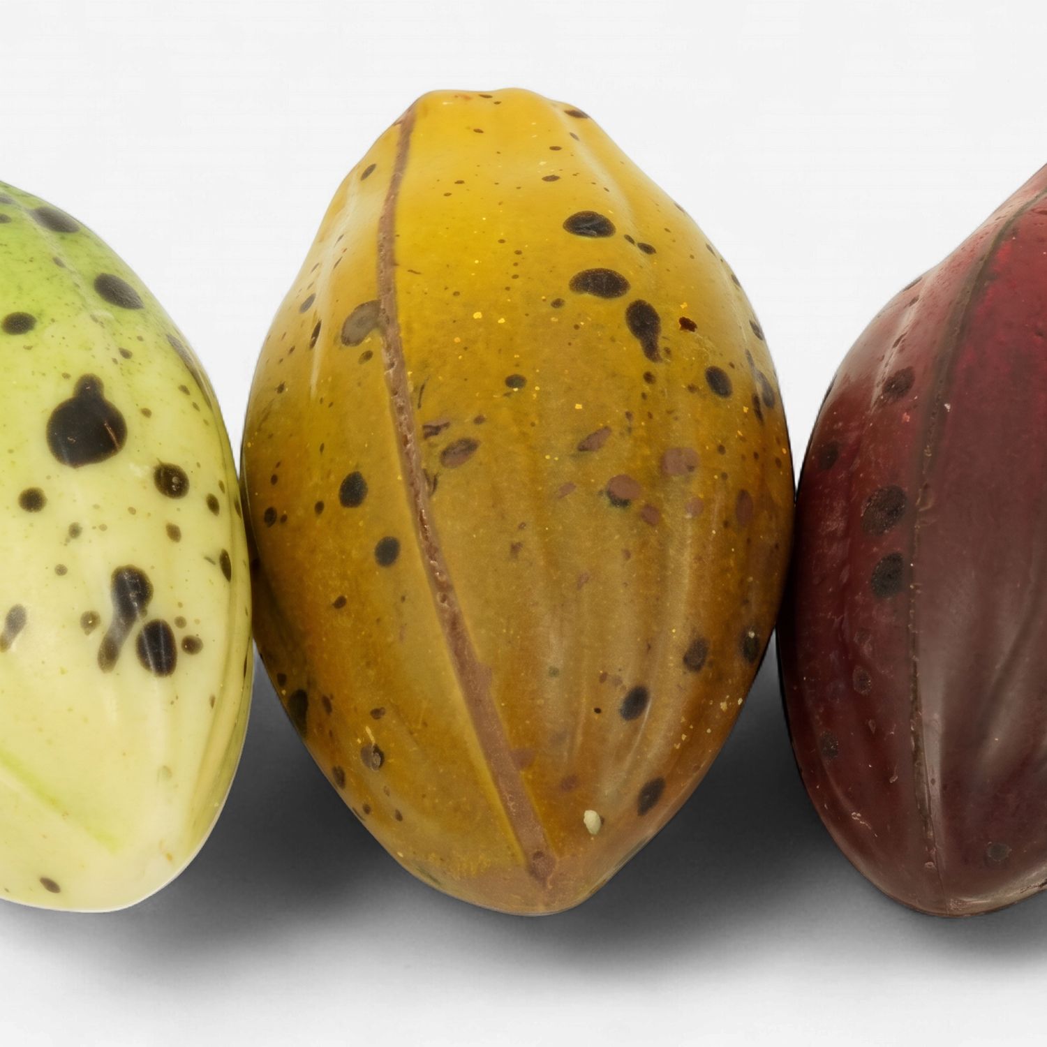 Cacaoboon assorti p.s.