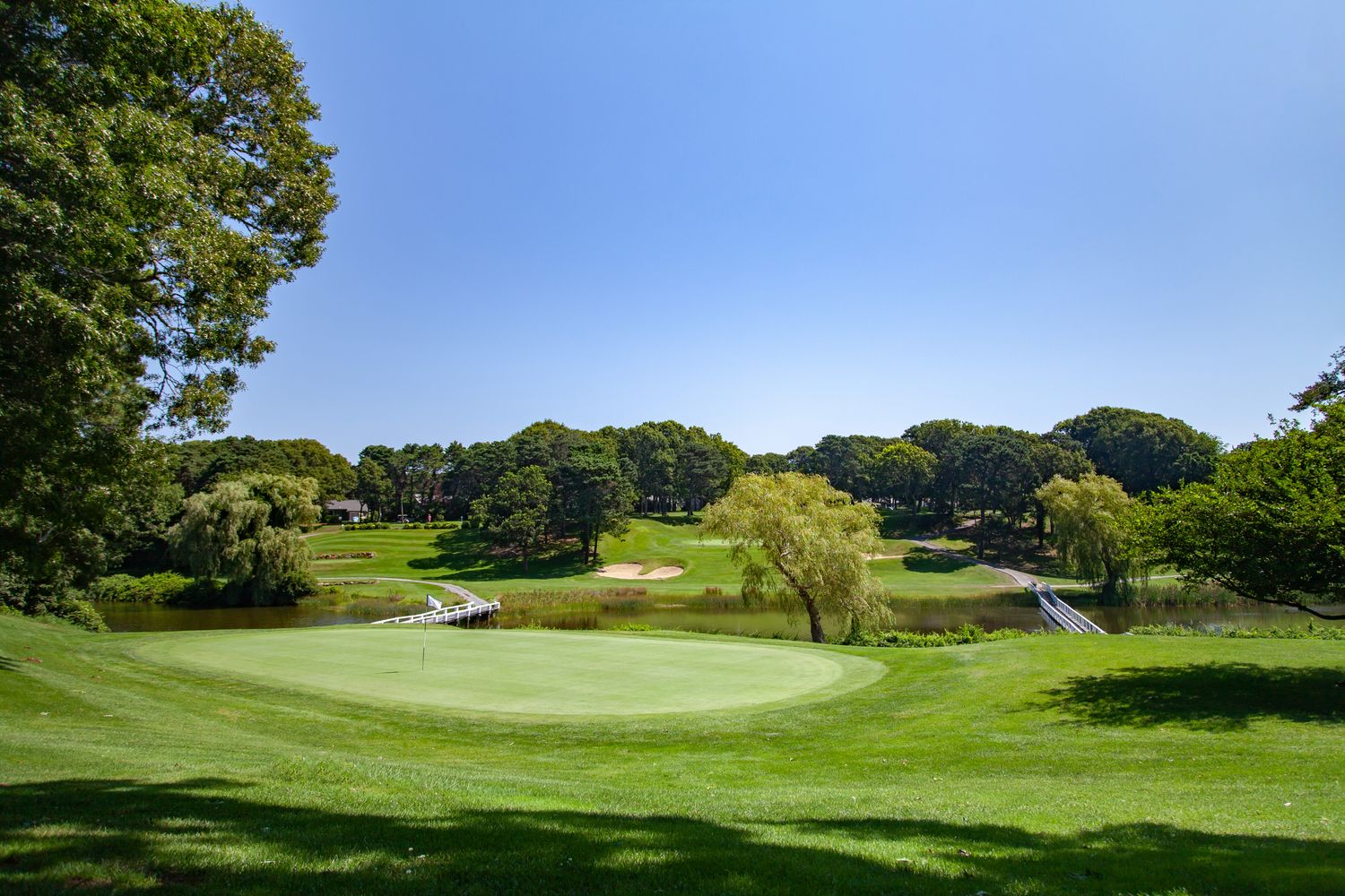 Turkey Shoot: Member (WITHOUT Cart)