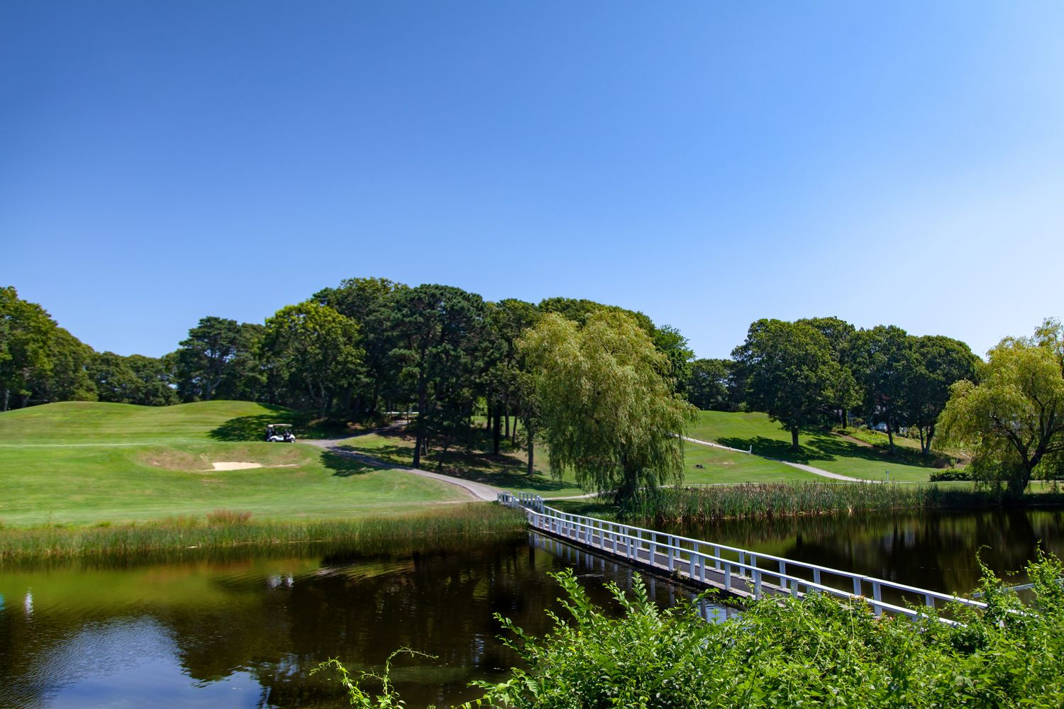 Turkey Shoot: Nonmember (WITHOUT Cart)