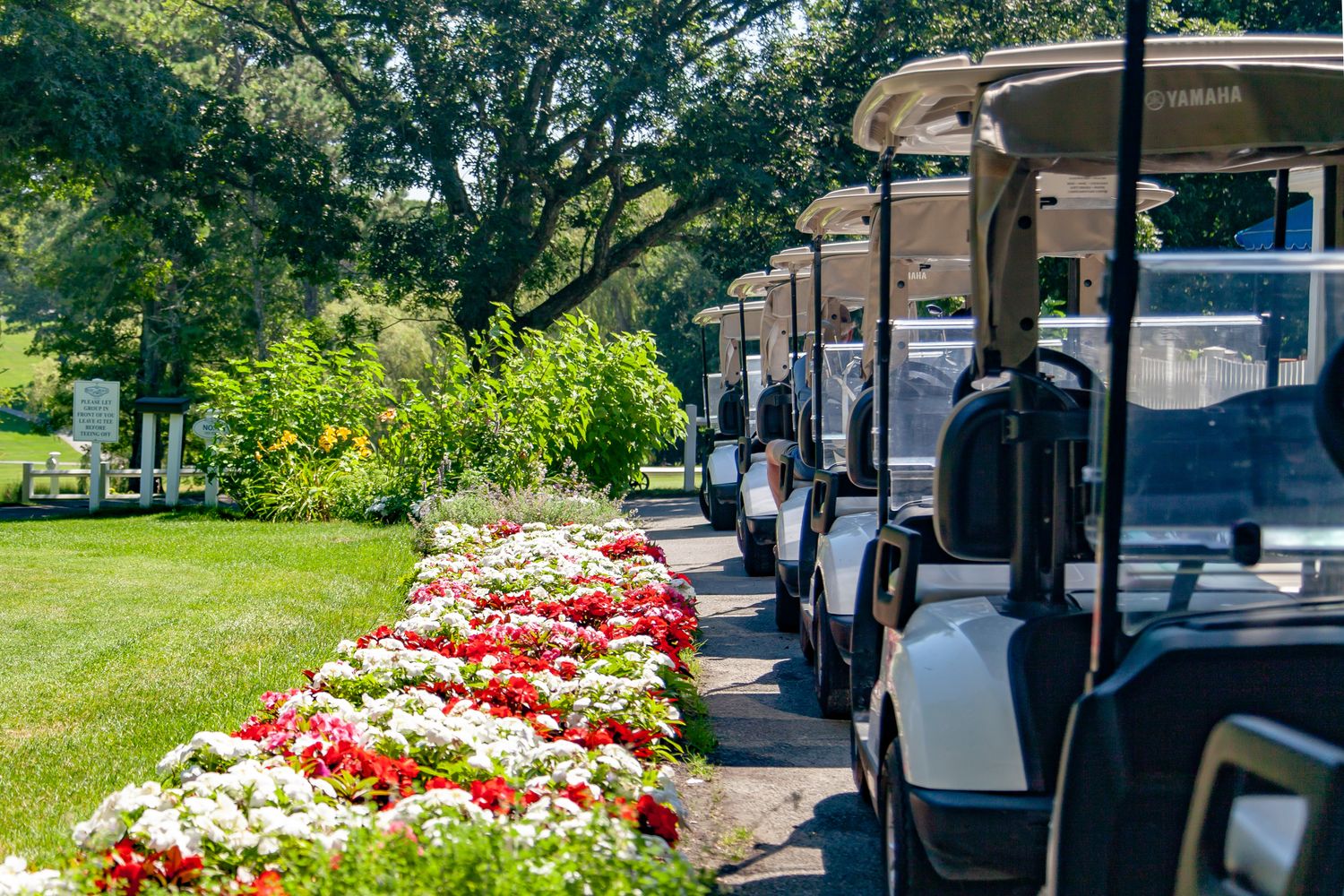Turkey Shoot: Nonmember (WITH Cart)