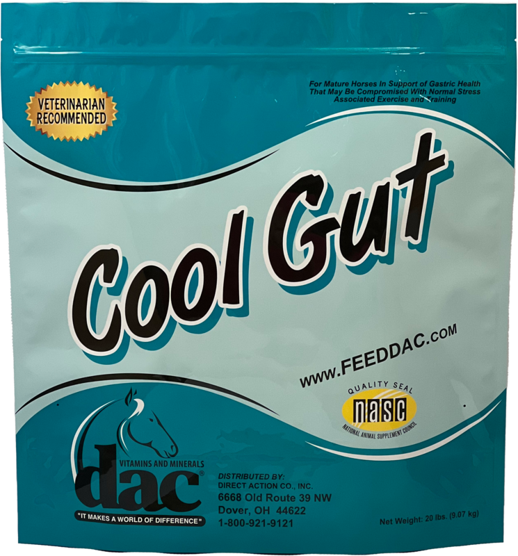 DAC Cool Gut #05