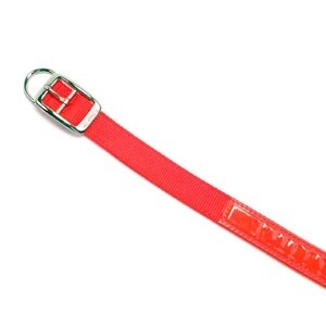Nylon Hunting Dog Collar w/ Reflexite - 1&quot; x 18&quot;, Hot Orange