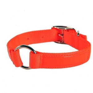 Nylon Hunting Dog Collar w/ Reflexite &amp; Center Ring - 1&quot; x 16&quot;, Hot Orange