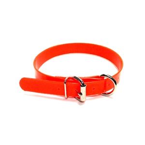 Coated Hunting Dog Collar with End D Ring 1&quot; X 16&quot;, Hot orange