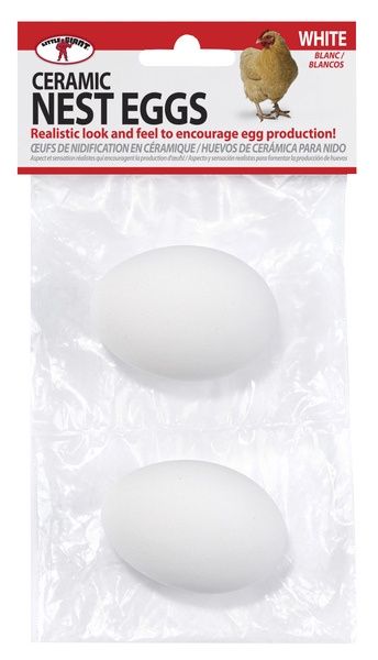 Ceramic Nest Eggs- White