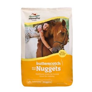 Bite Size Nuggets- Butterscotch
