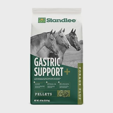 Standlee Forage Plus Gastric Support