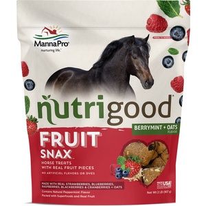 Nutrigood Fruit Snacks Berry Mint and Oat