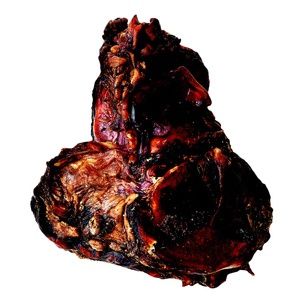 Beef Knuckle Bones Top Crest