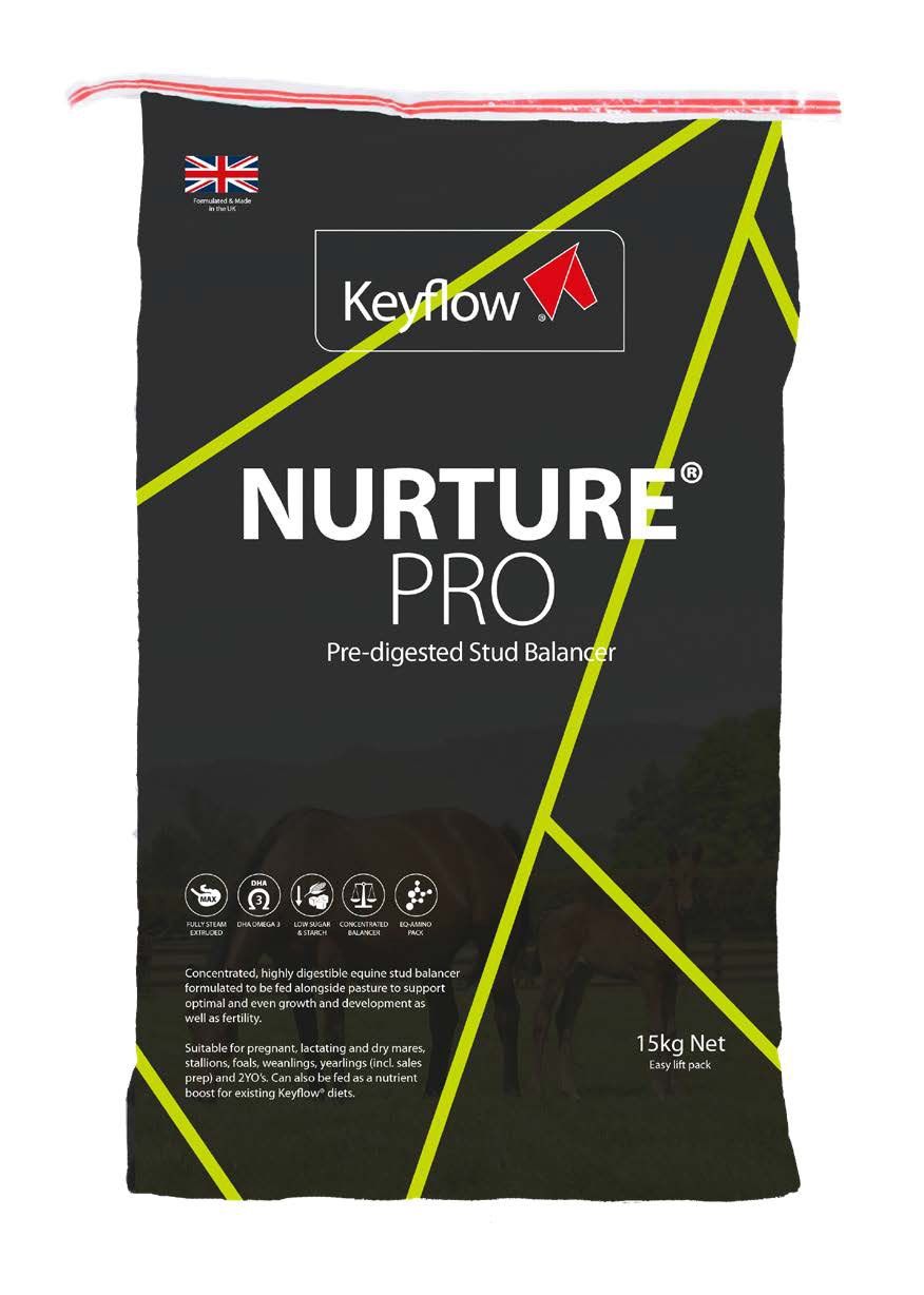 Keyflow Nurture Pro
