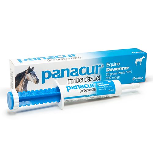 Panacur Paste 10%