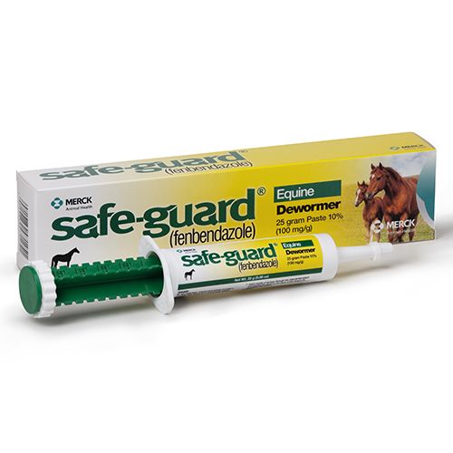 safe-guard 10% paste