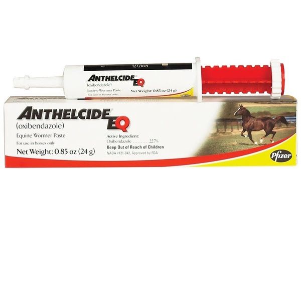 Anthelcide EQ Paste-24G