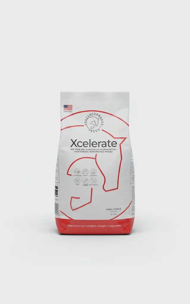 Key Performance Xcelerate
