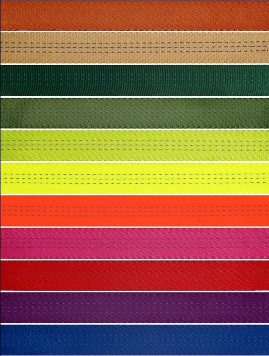 Bluewater 1" Webbing
