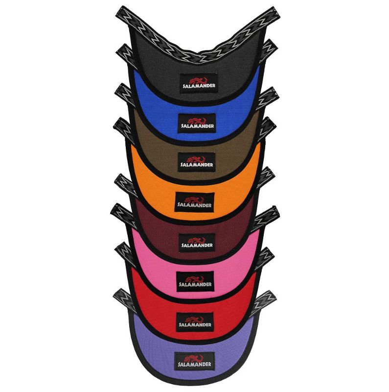 Beak Helmet Visor