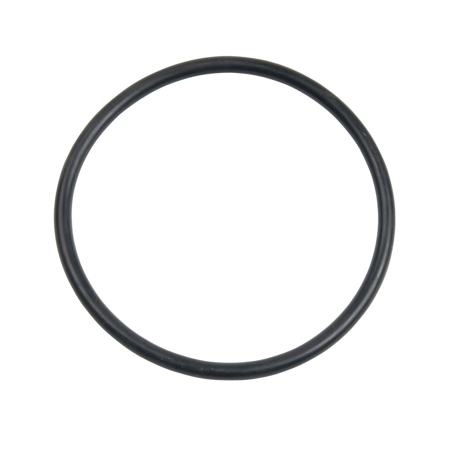 Carlson Pump Rubber O-Ring, Size: 4"