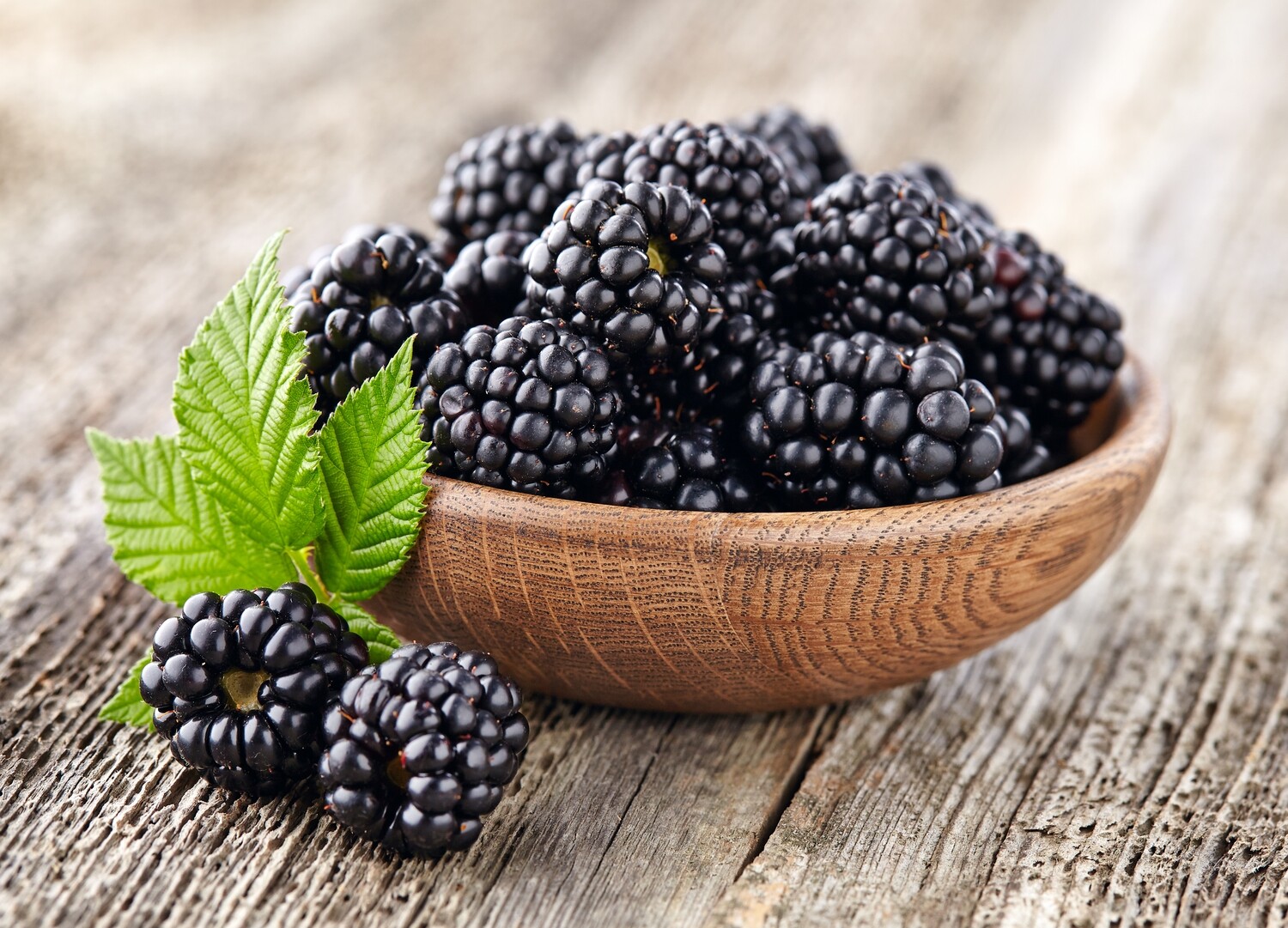 Blackberry Jam Delight
