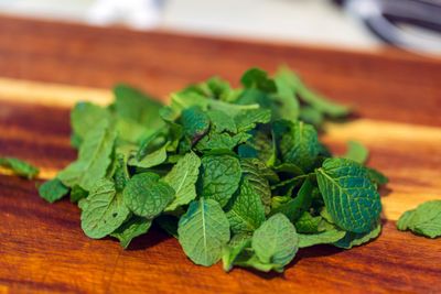 Mint Olive Oil Infusion - 8oz jar