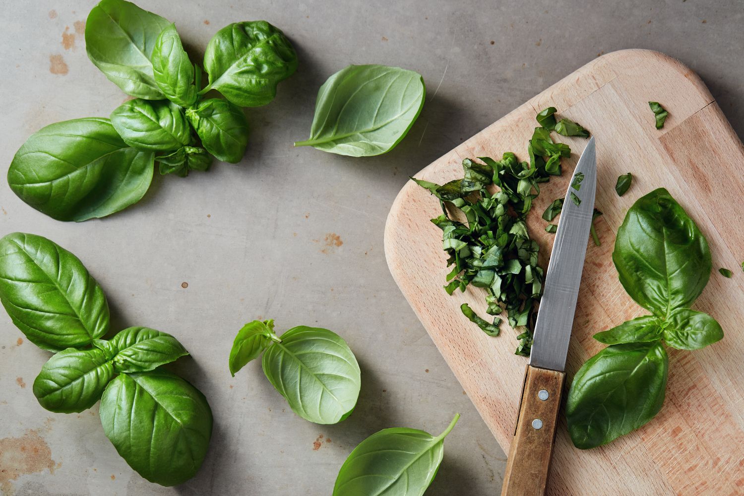 Basil Olive Oil Infusion - 8oz jar
