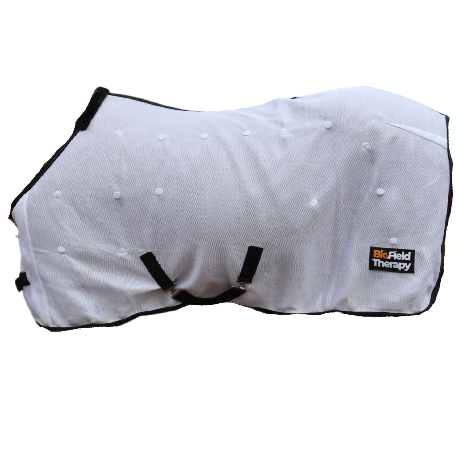White Biofield Therapy Magnetic Rug