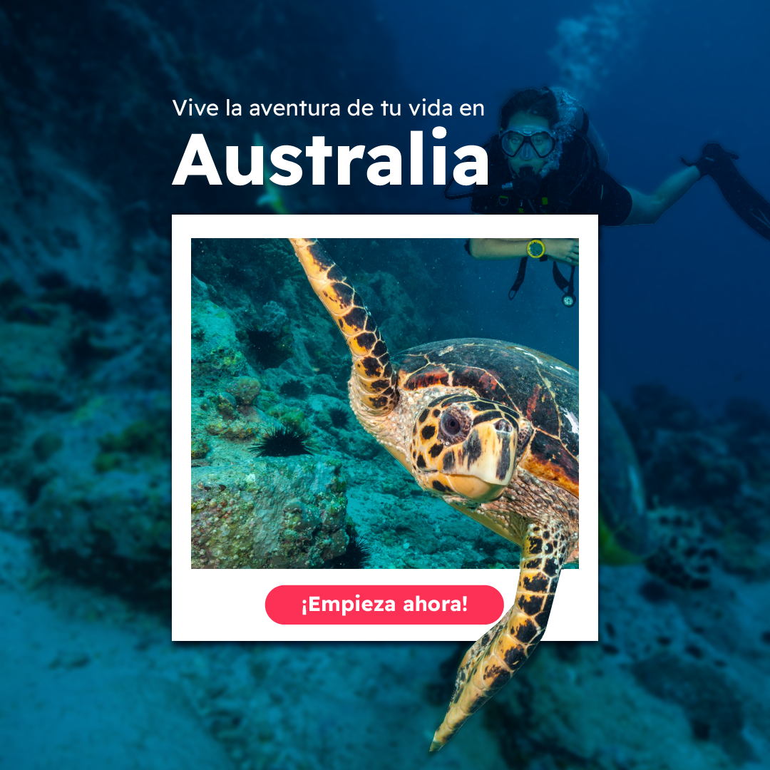 🐨Australia