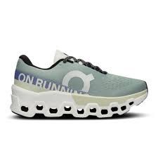 Womens On Cloudmonster 2 Mineral/Aloe