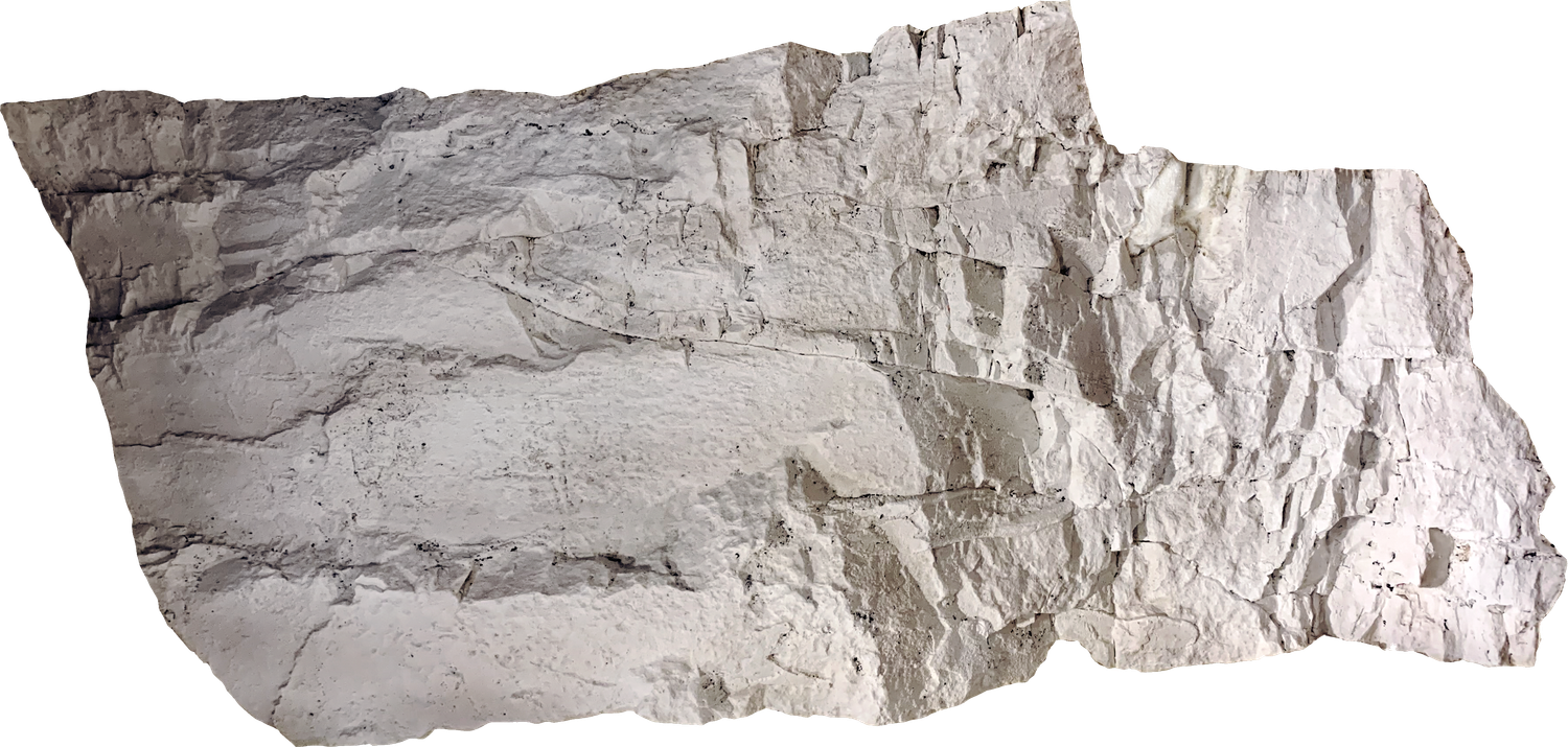 Large Rock Panel