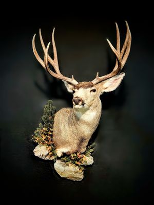 Shoulder Mount Rocks / Small
