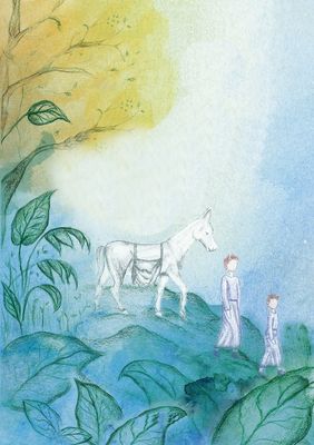 Fairy Tales &amp; Fantasy