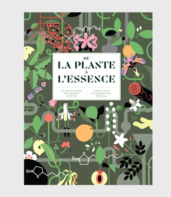 From Plant To Essence (French &amp; English)