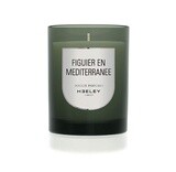 Figuier En Méditerranée 290g Candle