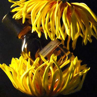 Bergamask 50ml Extrait de Parfum