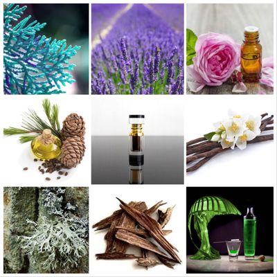 ​Oud Fougère 3g Oud Oil, Version 2