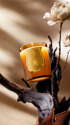 Trudon Altair Candle 270g