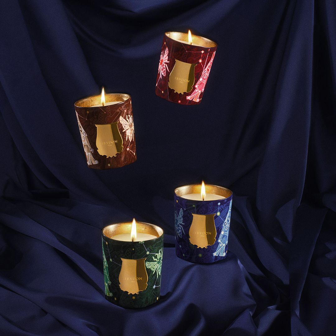 Holiday Collection 2025 - Enchanted Night